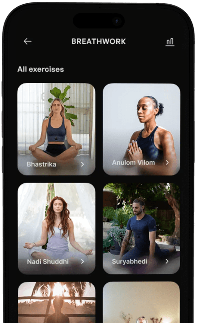 Breathwork and Meditation guides